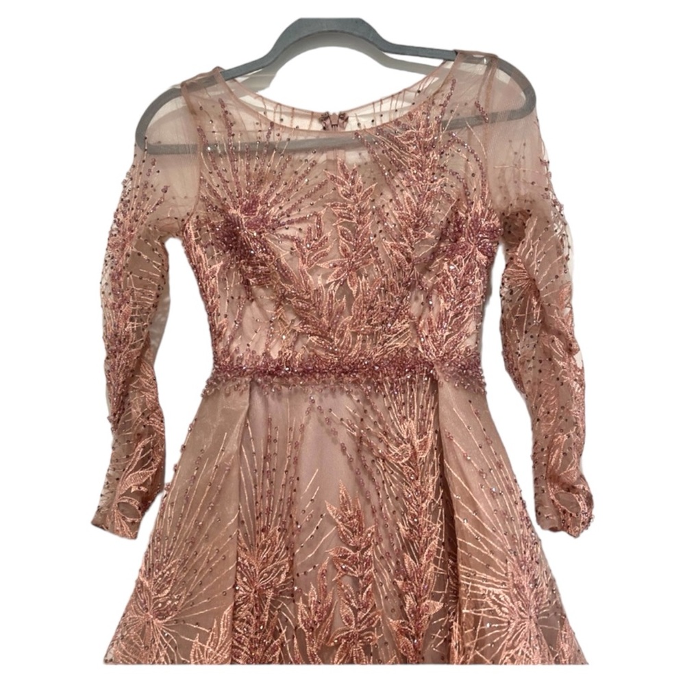 COPY - Serene Hill  Pink Long Mermaid Elegant  With Train Evening Dress Gown si… - Picture 5 of 5